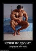 post-5485-0-01630200-1409329600_thumb.jpg