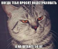 post-4386-0-31475100-1414742395_thumb.jpeg
